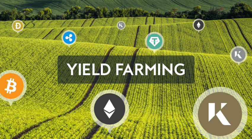 The Dark Side of Yield Farming: Risks and Vulnerabilities to Rug Pull Scams